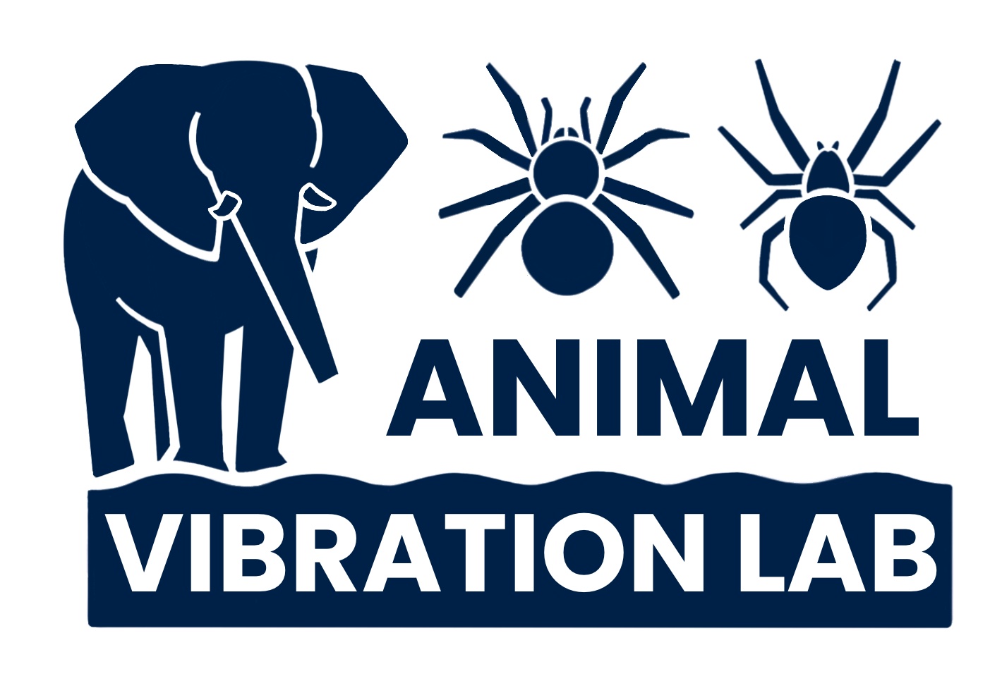 Animal Vibration Lab logo