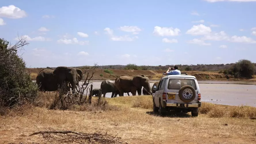 A researcher looking out from a vehicle at a herd of elephants