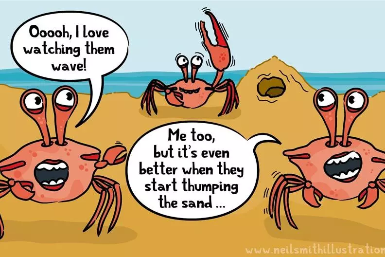 A cartoon of two female crabs talking about a male crab. One of the females is saying "I love watching them wave". The other says "It's even better when they start thumping the sand"