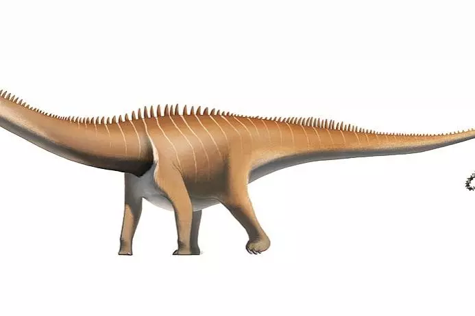 Diplodocus dinosaur palaeoart