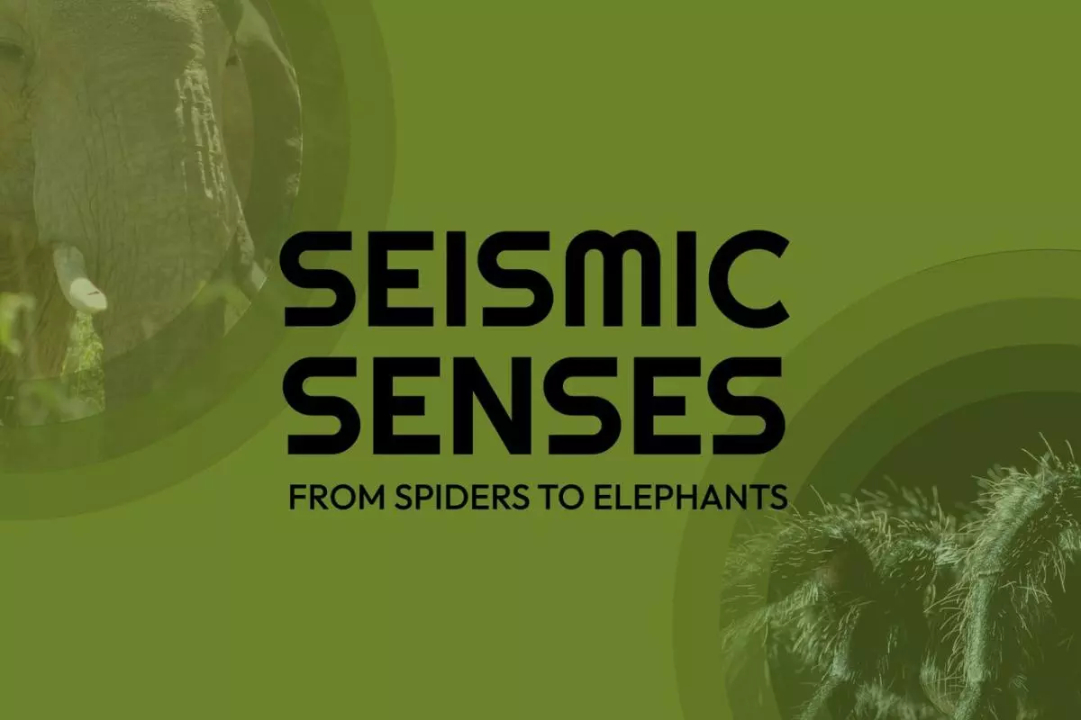 Seismic Senses: From Spiders to Elephants