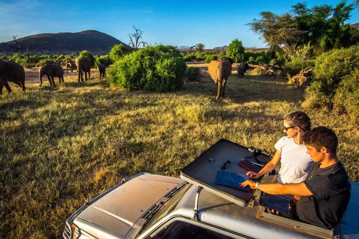 Two researchers in a jeep near a herd of elephants